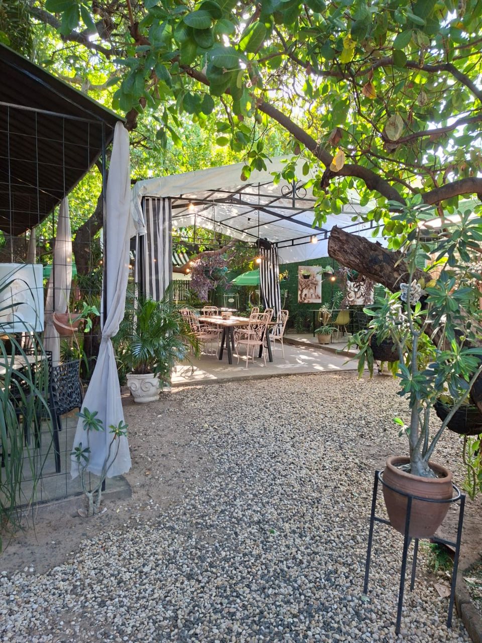 Café Jardim das Orquídeas