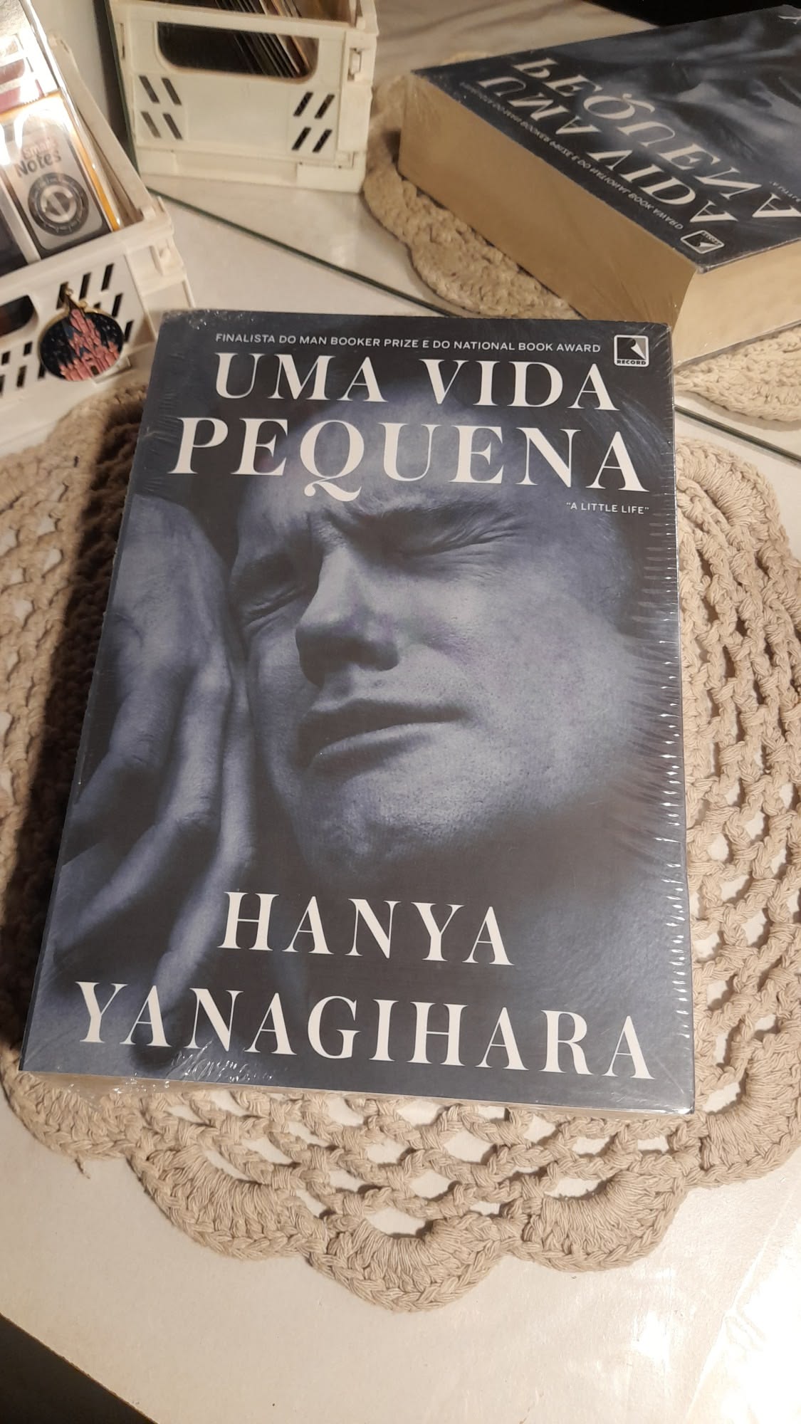 Capa de Uma Vida Pequena