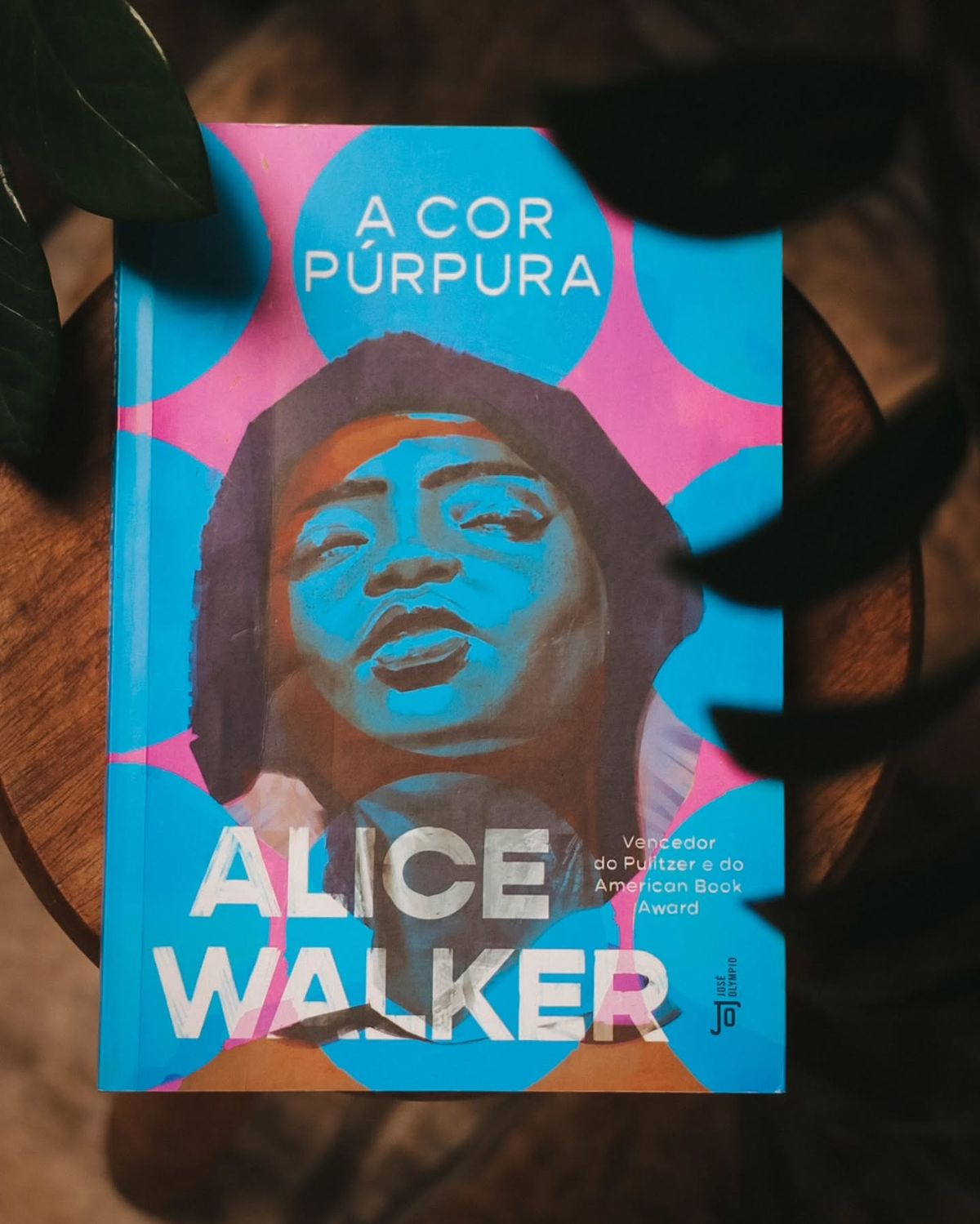 Capa de A Cor Púrpura