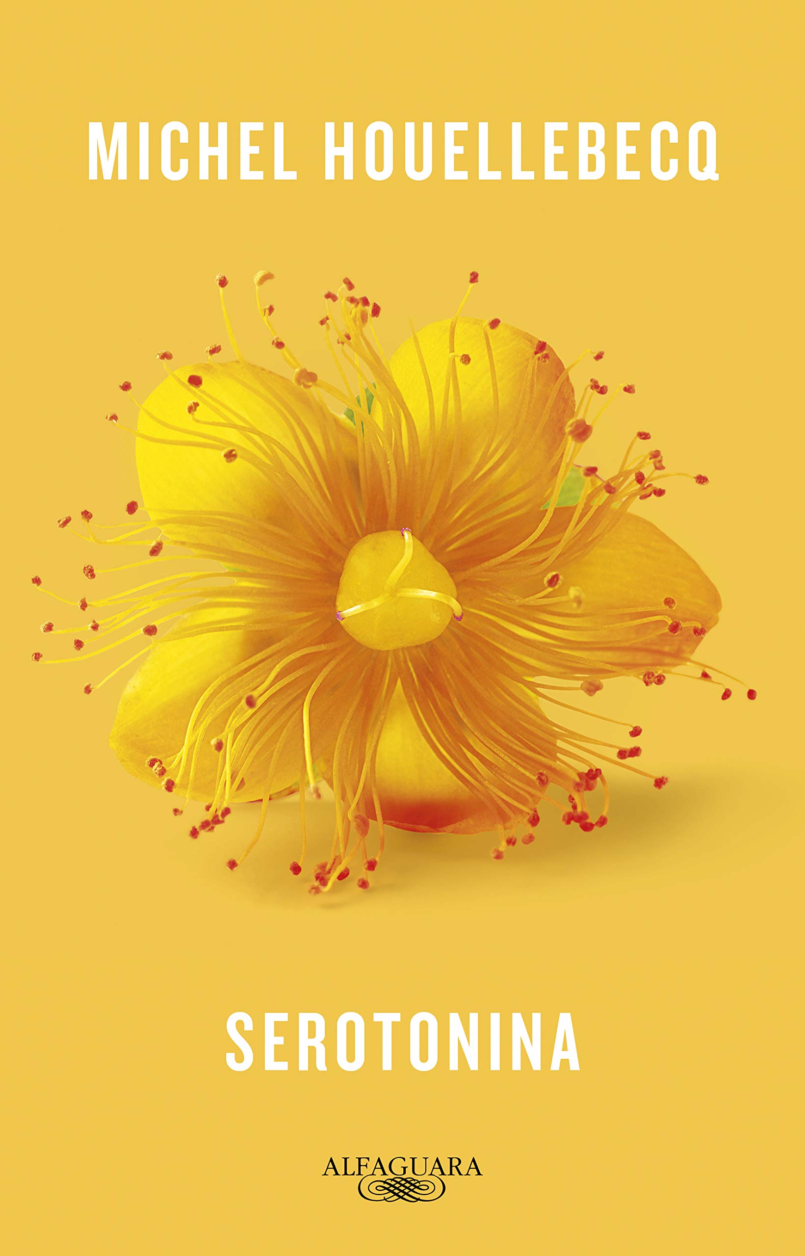 Capa de Serotonina